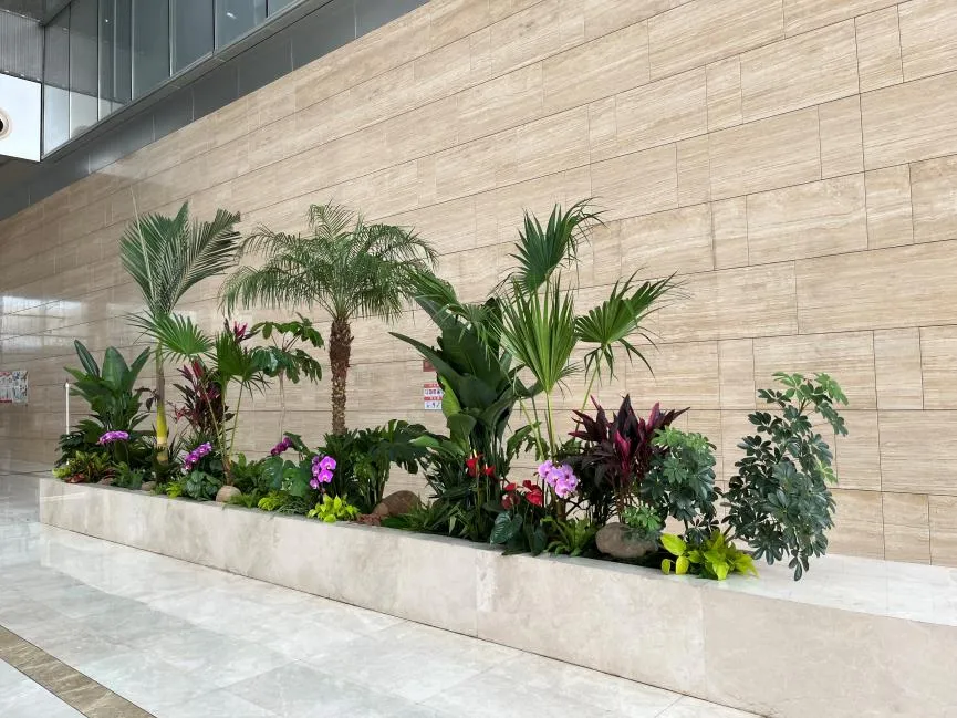 探寻宁波余姚植物租赁哪家好？答案就在此篇！